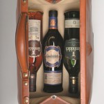 LES 3 BOUTEILLES DS DOCTOR BAG CHARLES GORDON GLENFIDDICH