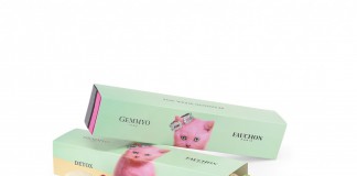 Ecrin macarons Gemmyo x Fauchon