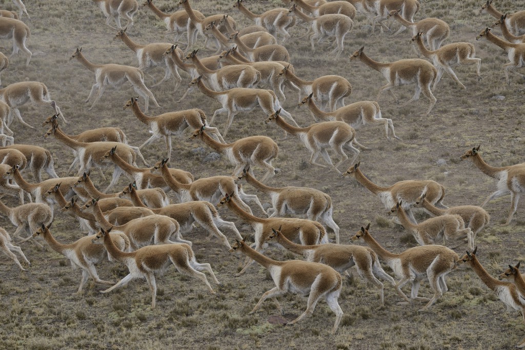 Mes Chaussettes Rouges x Dormeuil