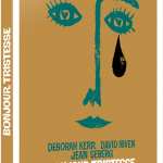3d-bonjour-tristesse-bd-def