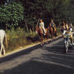 domtarle_mick_moto_horses