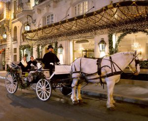 Noël féérique au Bristol