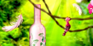 Vin rosé Grain D'amour - collector