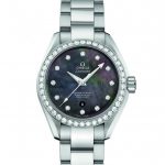 Seamaster Aqua Terra_231.15.34.20.57.001