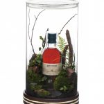 Terrarium