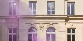 Laurence Dreyfus Chambre à part 13
