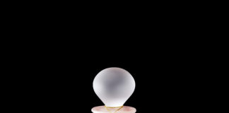Lalique Édition limitée Pivoine