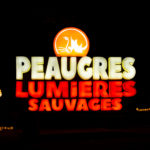 lumieres-sauvage-safari-32