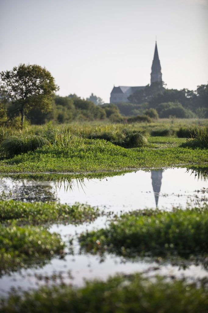 La mare aux oiseaux