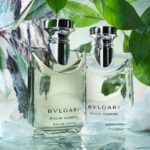 Screenshot_20240206_221050