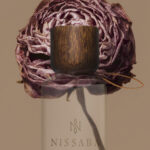 Dried pink buttercup flower on a gray background