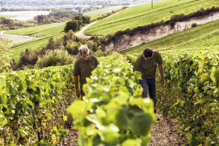  Chassenay d’Arce – des Champagnes à découvrir