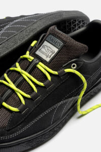 Aries x Puma