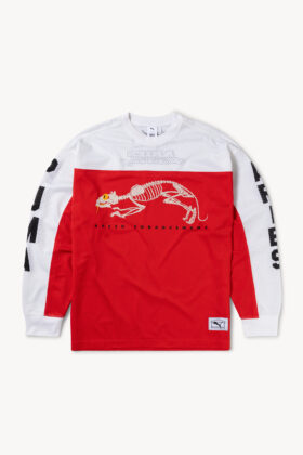 Aries x Puma