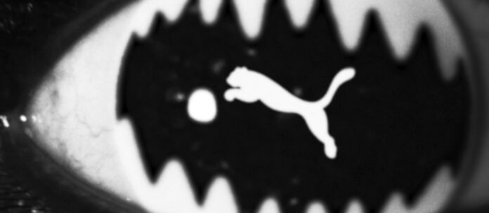 Aries x Puma